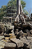 Ta Prohm temple - silk-cotton trees rising over the ruins